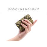 レディース ミニ財布 ブランド | sankyo shokai | 詳細画像8