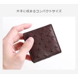 オーストリッチ 小銭入れ ボックス型 | sankyo shokai | 詳細画像3