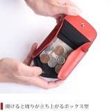 クロコダイル ミニ財布 レディース | sankyo shokai | 詳細画像6