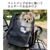 ペット 冷感マット 日本製 | sankyo shokai  | 詳細画像13 