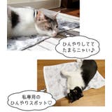 ペット 冷感マット 日本製 | sankyo shokai  | 詳細画像6 