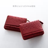 オーストリッチ コンパクト 財布 | sankyo shokai | 詳細画像5