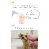 ペット タオル 吸水 | sankyo shokai  | 詳細画像5 