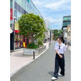 クロップド丈襟付きシャツブラウス半袖 全3色 可愛い | VIVID LADY | 詳細画像20 