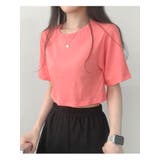 コーラルピンク | 13カラークロップド半袖tシャツ レディース 半袖 | VIVID LADY