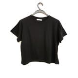 ブラック | ベーシックな無地ショート丈Tシャツ 半袖 全4色 | VIVID LADY