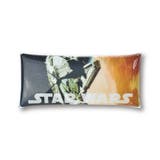 ミレニアム・ファルコン(SWM-163) | スター ウォーズ ペンケース | AVVENTURA