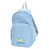 ブルー(SPZ-3943) | リュック 折りたたみ パッカブル | AVVENTURA