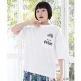 orion×ScoLar sunshineトロピカルTシャツ | ScoLar | 詳細画像3 