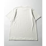 【Hanes】SHIRO クルーネックTシャツ HM1-X201 | SETUP7【WOMEN】 | 詳細画像3