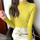 ライトグリーン | プチワイドリブニットトップス 秋 冬 | SHEENA 