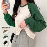 配色ラグランクロップド丈シンプルロンT 秋 冬 | SHEENA | 詳細画像1