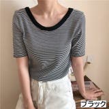 ブラック | ラウンドネックミニボーダー半袖ニット トップス クルーネック | LADY LIKE 