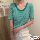 グリーン | ラウンドネックミニボーダー半袖ニット トップス クルーネック | LADY LIKE 