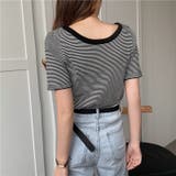 ラウンドネックミニボーダー半袖ニット トップス クルーネック | LADY LIKE  | 詳細画像7 