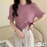 パープル | 丸首フリル半袖シアーニット トップス プルオーバー | LADY LIKE