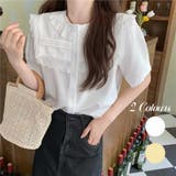 大人なシアー魅せ。レース半袖ブラウス オフィスカジュアル 春 | Sibra | 詳細画像1