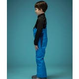 phenix フェニックス V | SHIFFON | 詳細画像14 