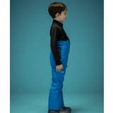 phenix フェニックス V | SHIFFON | 詳細画像16 