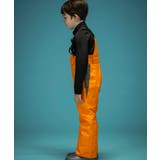 phenix フェニックス V | SHIFFON | 詳細画像31 