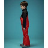 phenix フェニックス V | SHIFFON | 詳細画像39 