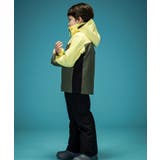 phenix フェニックス Color | SHIFFON | 詳細画像15 