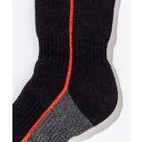 phenix フェニックス Bottom | SHIFFON  | 詳細画像7 