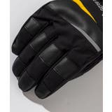 phenix フェニックス Phenix | SHIFFON  | 詳細画像3 