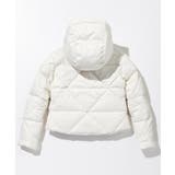 Phenix フェニックス POLYGON | SHIFFON | 詳細画像11