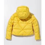 Phenix フェニックス POLYGON | SHIFFON | 詳細画像21