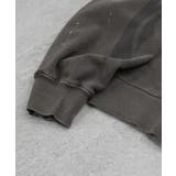 ILL S(イルズ)ピグメント ペイント | SHIFFON  | 詳細画像33 