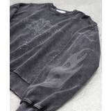 ILL S(イルズ)ピグメント ペイント | SHIFFON  | 詳細画像47 