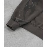 ILL S(イルズ)ピグメント ペイント | SHIFFON  | 詳細画像59 