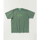 グリーン | inhabitant インハビタント Photographers | SHIFFON