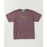 パープル | inhabitant インハビタント Photographers | SHIFFON