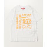 ホワイト | DIESEL ディーゼル ブランドロゴグラフィック半袖Tシャツカットソー | SHIFFON