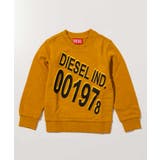 マスタード | DIESEL ディーゼル ブランドロゴ | SHIFFON