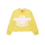 イエロー | DIESEL ディーゼル ブランドロゴスウェットプルオーバー | SHIFFON