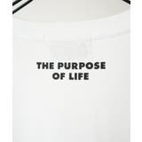 Confirm コンファーム アソート | SHIFFON  | 詳細画像21 