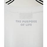 Confirm コンファーム アソート | SHIFFON  | 詳細画像23 