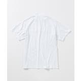 LUXEAKMPLUS リュクスエイケイエムプラス ゴルフ | SHIFFON  | 詳細画像29 