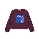バーガンディー | MAX&Co マックス アンド | SHIFFON