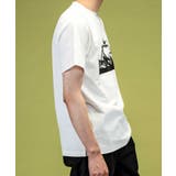 phenix outdoor フェニックスアウトドア | SHIFFON  | 詳細画像2 