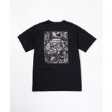 phenix outdoor フェニックスアウトドア | SHIFFON | 詳細画像15