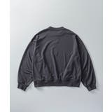 +phenix プラスフェニックス TECH | SHIFFON  | 詳細画像36 