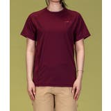 ピンク系 | phenix outdoor フェニックスアウトドア | SHIFFON
