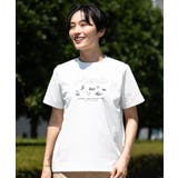 オフホワイト | phenix OUTDOOR フェニックスアウトドア | SHIFFON