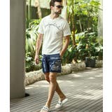 1PIU1UGUALE3 RELAX ウノピゥウノウグァーレトレ | SHIFFON | 詳細画像22