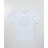 1PIU1UGUALE3 RELAX ウノピゥウノウグァーレトレ | SHIFFON  | 詳細画像11 