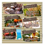 薬用 ピーリングジェル 45g プラセンタ ポロポロ ジェル 角質 くすみ | 白くま化粧品 | 詳細画像12 
